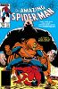 Amazing Spider-Man (1st series) #249 - Amazing Spider-Man (1st series) #249