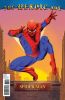 [title] - Amazing Spider-Man (1st series) #631 (Doug Braithwaite variant)
