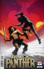 [title] - Black Panther (7th series) #7 (Richard Isanove variant)
