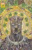 [title] - Black Panther (7th series) #25 (Joshua Cassara variant)