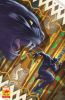 [title] - Black Panther (7th series) #25 (Iban Coello variant)