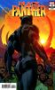 [title] - Black Panther (7th series) #25 (Brian Stelfreeze variant)