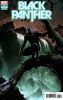 [title] - Black Panther (8th series) #3 (Gary Frank variant)