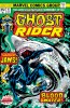 Ghost Rider (2nd series) #16 - Ghost Rider (2nd series) #16