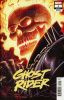 [title] - Ghost Rider (9th series) #1 (Arthur Adams variant)