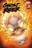 [title] - Ghost Rider (10th series) #1 (Todd Nauck variant)
