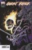 [title] - Ghost Rider (10th series) #13 (Michael Walsh variant)