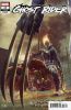 [title] - Ghost Rider (10th series) #17 (Bjorn Barends variant)