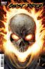 [title] - Ghost Rider (10th series) Annual #1 (Greg Land variant)
