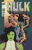 [title] - Hulk (4th series) #1 (June Brigman variant)