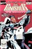[title] - Punisher (2nd Series) Annual #2