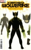 [title] - X Deaths of Wolverine #1 (Adam Kubert variant)