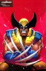 [title] - X Lives of Wolverine #2 (Iban Coello variant)