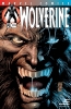 [title] - Wolverine (2nd series) #174