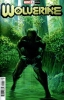 [title] - Wolverine (7th series) #1 (Alex Ross variant)