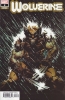 [title] - Wolverine (7th series) #2 (David Finch variant)