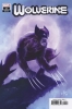 [title] - Wolverine (7th series) #5 (Viktor Bogdanovic variant)