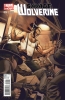[title] - Savage Wolverine #15 (J.G. Jones variant)